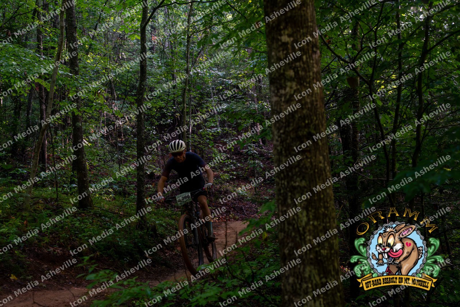 DSC01206